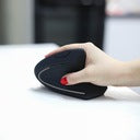 Mouse Ergonomico