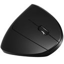 Mouse Ergonomico